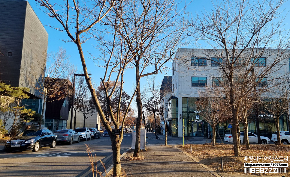 파주 출판단지 맛집, 복많네 해물칼국수 & 볼거리 지혜의 숲