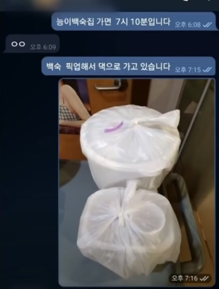 김혜경 이재명 와이프 프로필 비서진 5급 배씨 7급 공무원 대화 내용 기생충