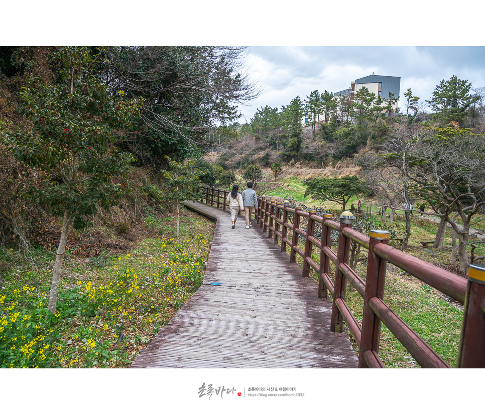 제주도 가볼만한곳 2월 제주 여행 코스 4곳