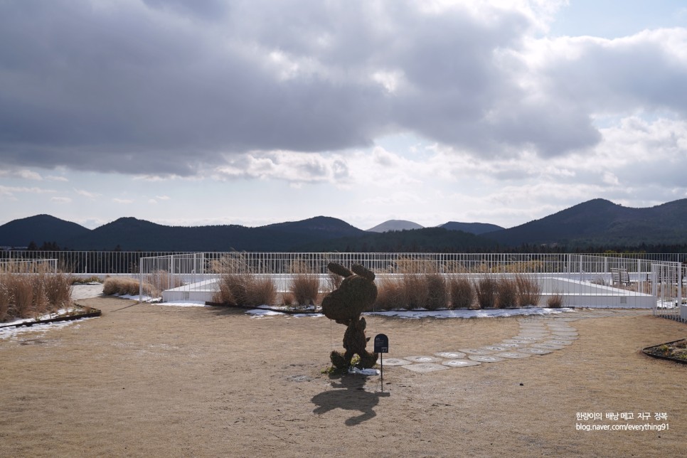 제주도 아이와가볼만한곳 스누피가든 할인