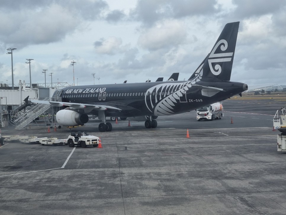 에어뉴질랜드 뉴질랜드 오클랜드 인천 직항 항공권 7월부터 정상 운행