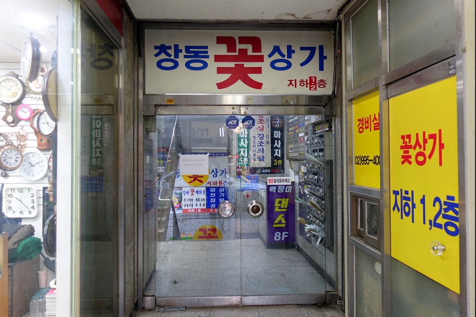 서울 산책 도봉구 가볼만한곳 LP음악감상실, 창동 꽃시장