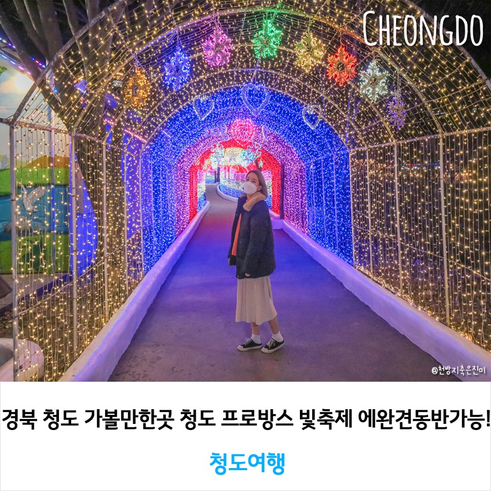 경북 청도 가볼만한곳 청도 프로방스 빛축제 애완견동반가능!
