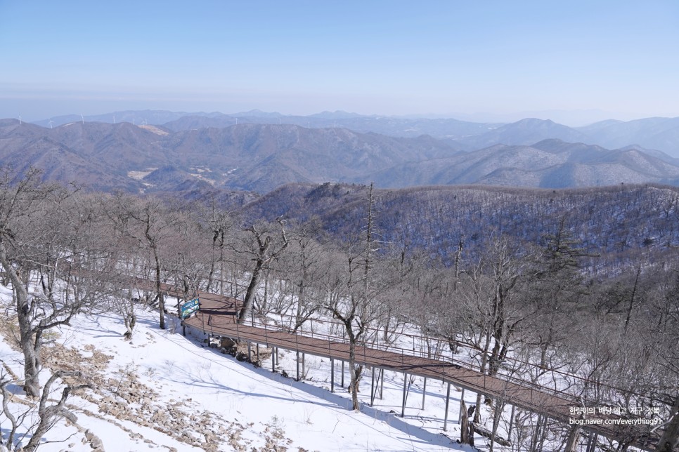 평창 여행 발왕산 케이블카 할인 스카이워크 걷기!