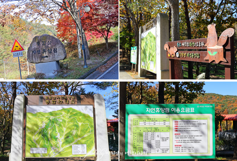 경주 금장대 대릉원, 경주 토함산 자연휴양림 지난 가을나들이