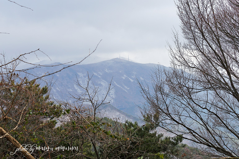 광주 무등산 모노레일 전망대 지산유원지 놀거리 광주 나들이