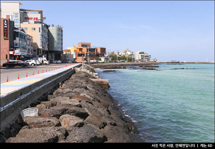 제주도 함덕해수욕장 제주 함덕 서우봉 해변 둘레길 꽃구경