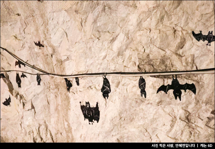충북 충주 여행 가볼만한곳 활옥동굴 놀거리 카약