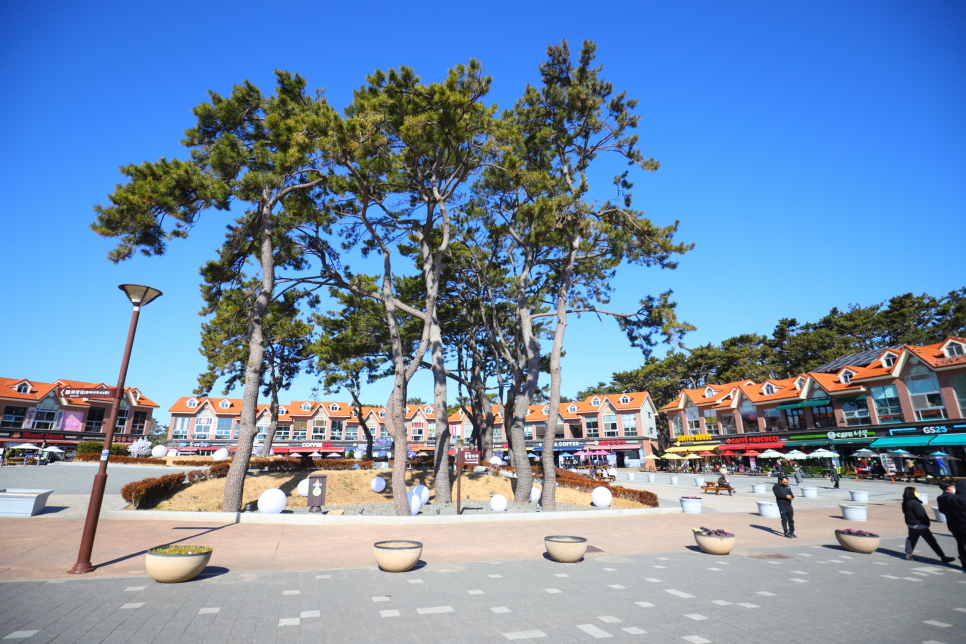 울산 가볼만한곳 바다 데이트 코스 좋은 멋진 대왕암 공원 출렁다리