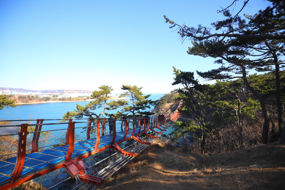 울산 가볼만한곳 바다 데이트 코스 좋은 멋진 대왕암 공원 출렁다리