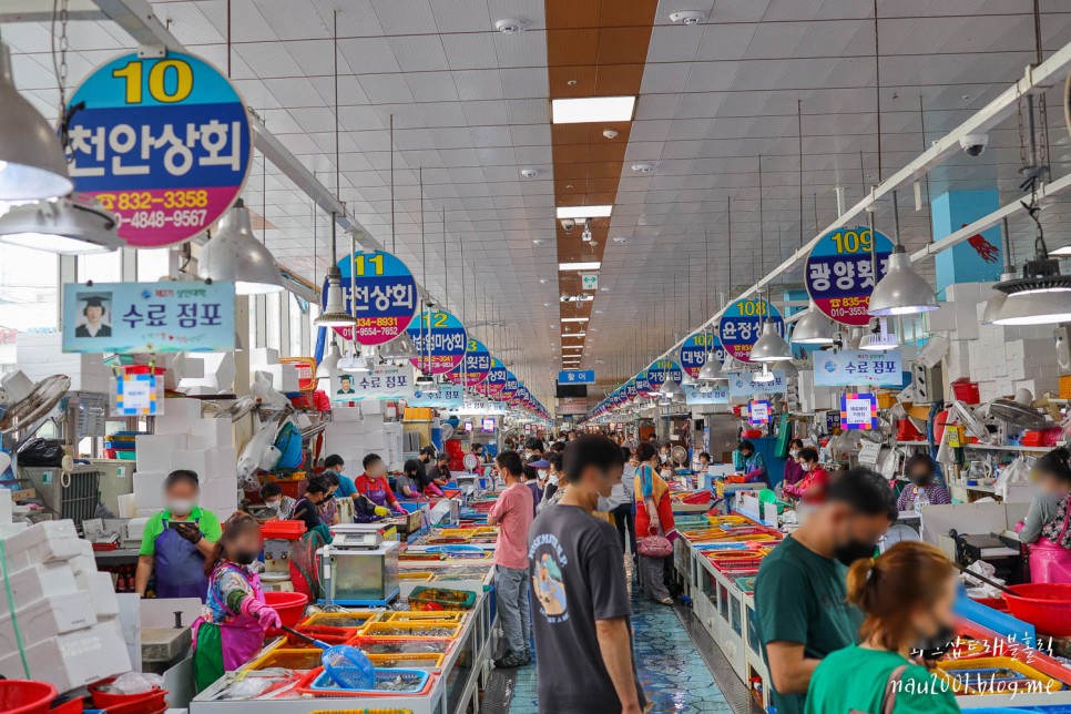 경남 사천 가볼만한 곳 삼천포 용궁수산시장 사천바다케이블카