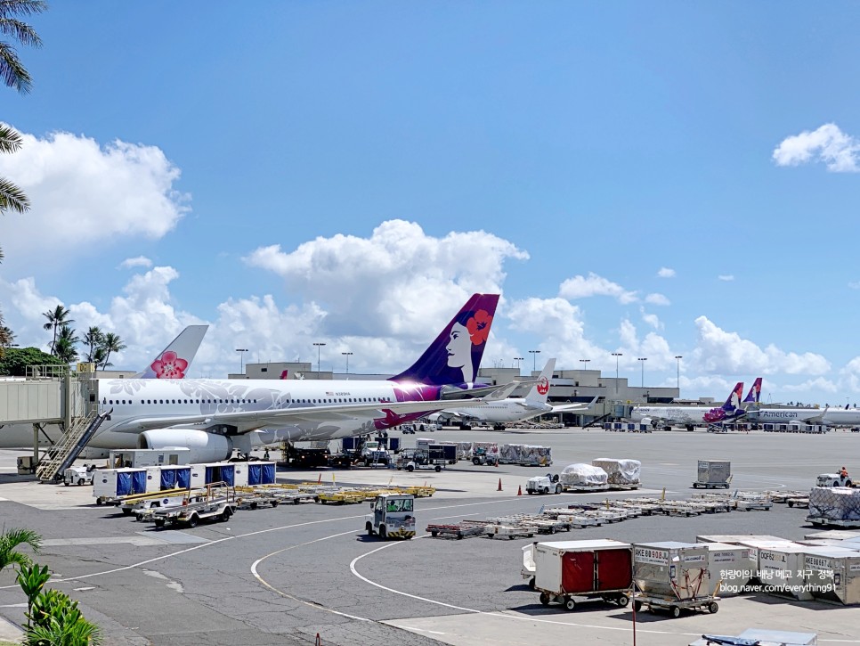 하와이 여행 아시아나 대한항공 하와이안 항공권 스케줄 요금