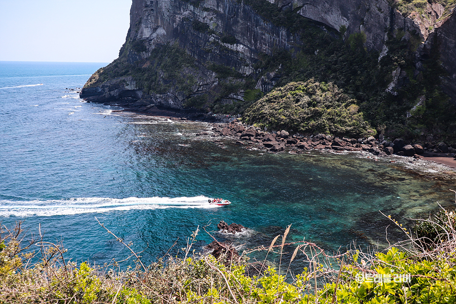 제주 성산 숙소 1인 제주도 동쪽 호텔 플레이스캠프 제주