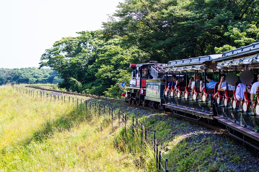 3월 제주도 가볼만한곳, 제주 에코랜드 테마파크 입장권 할인 받기