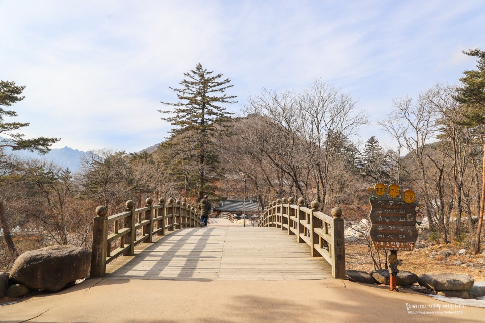 설악산 국립공원 신흥사 속초 절 전국유명사찰