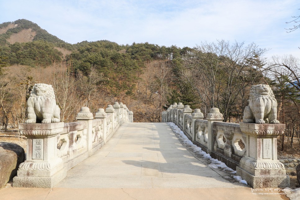 설악산 국립공원 신흥사 속초 절 전국유명사찰