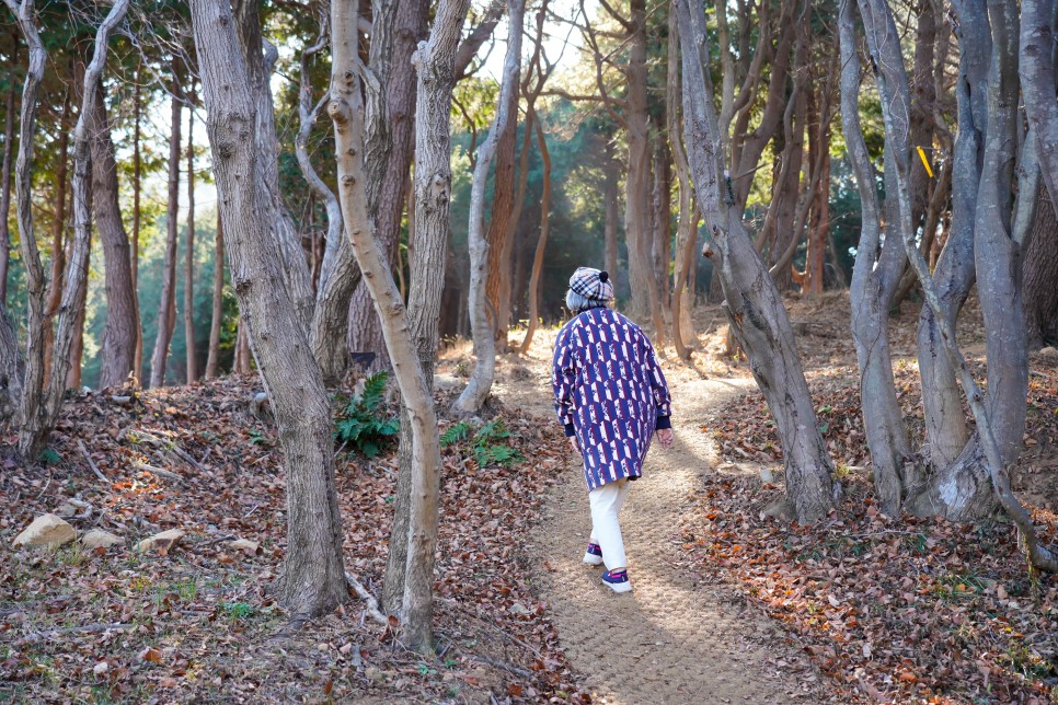 거제 가볼만한곳 거제도 구조라성 수정산 전망대 수정봉까지~