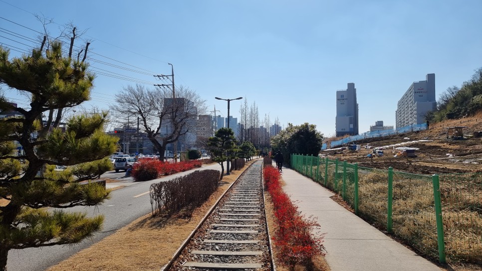 포항 송도해수욕장 산책하고 포항 철길숲 불의정원 관광지 둘러보기