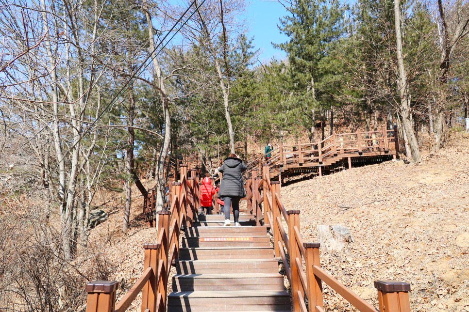 강원도 원주 가볼만한곳 소금산 울렁다리 출렁다리 외 여행 볼거리