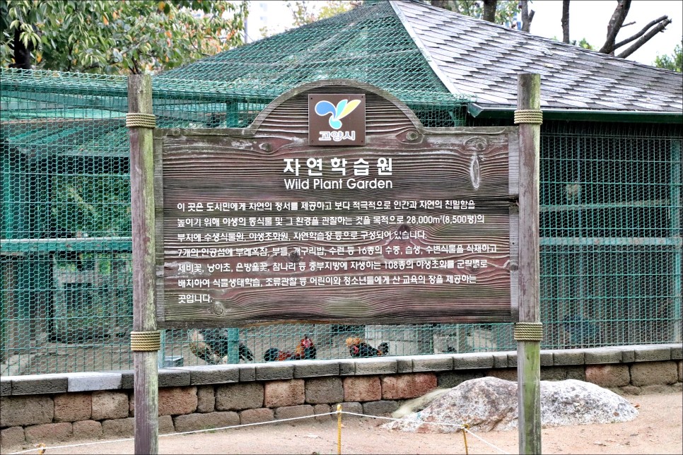 경기도 일산 가볼만한곳 호수공원 서울근교 데이트코스!