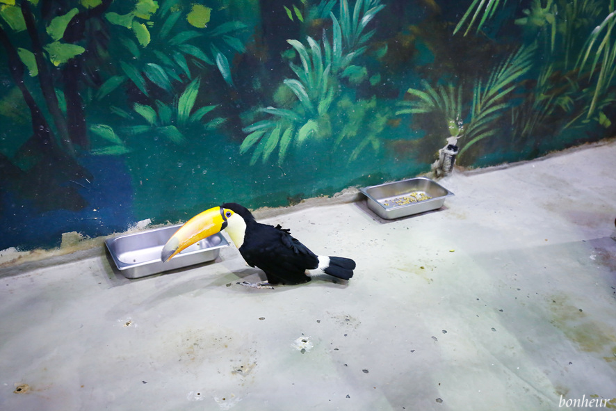 대구 실내 아이와 함께 가볼만한곳 대구 아쿠아리움 동물원 데이트코스