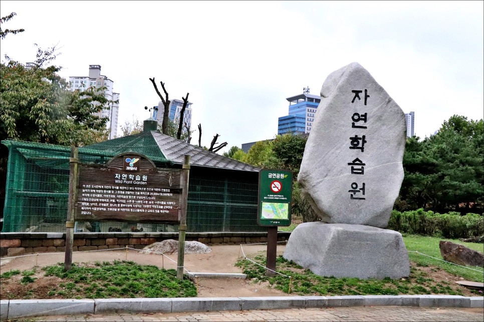 경기도 일산 가볼만한곳 호수공원 서울근교 데이트코스!