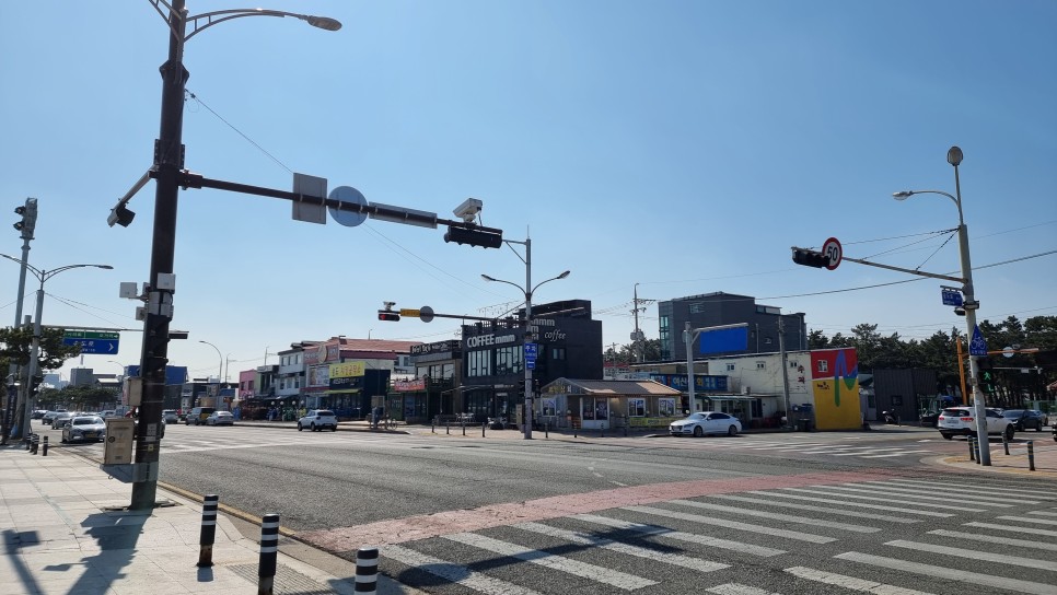 포항 송도해수욕장 산책하고 포항 철길숲 불의정원 관광지 둘러보기