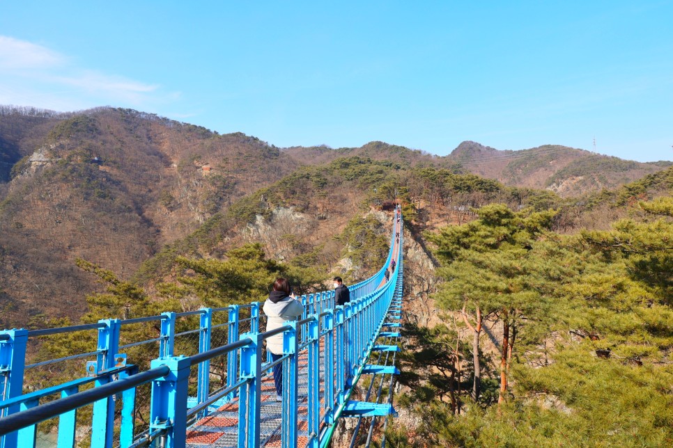 강원도 원주 가볼만한곳 소금산 울렁다리 출렁다리 외 여행 볼거리