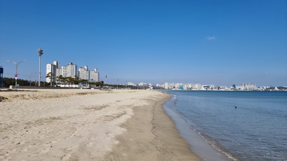 포항 송도해수욕장 산책하고 포항 철길숲 불의정원 관광지 둘러보기