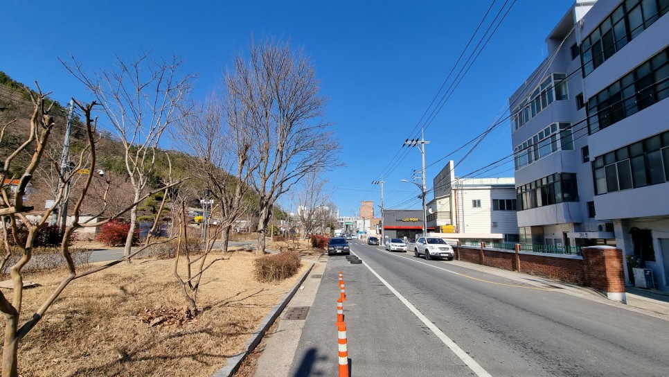 포항 송도해수욕장 산책하고 포항 철길숲 불의정원 관광지 둘러보기