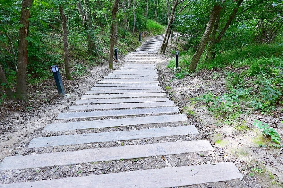 국내 여행지 추천 목포 해상케이블카 타고 고하도전망대