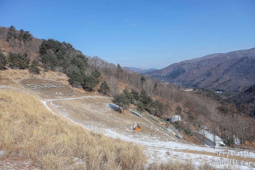 강원도여행 모나파크용평리조트 애니포레 모노레일 후기