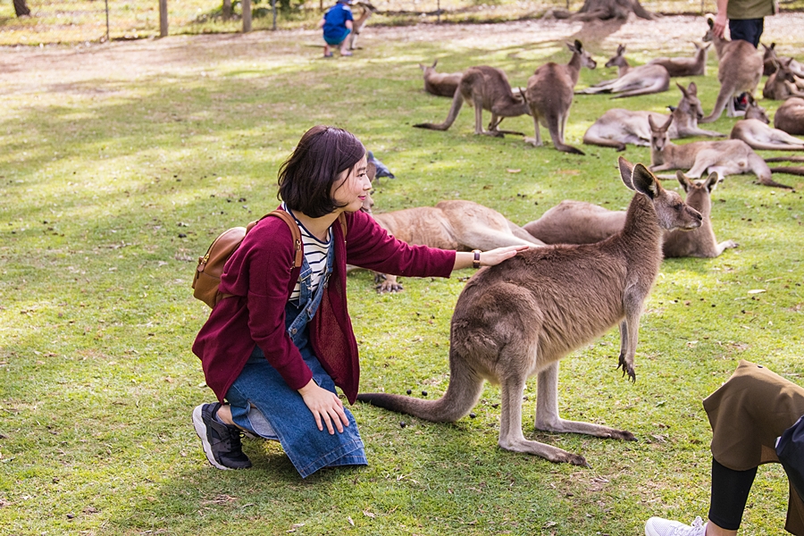 호주 입국, 2월 21일부터 모든 해외여행객 무격리 여행 시작. 시드니, 브리즈번, 멜버른 등 여행 가볼까?