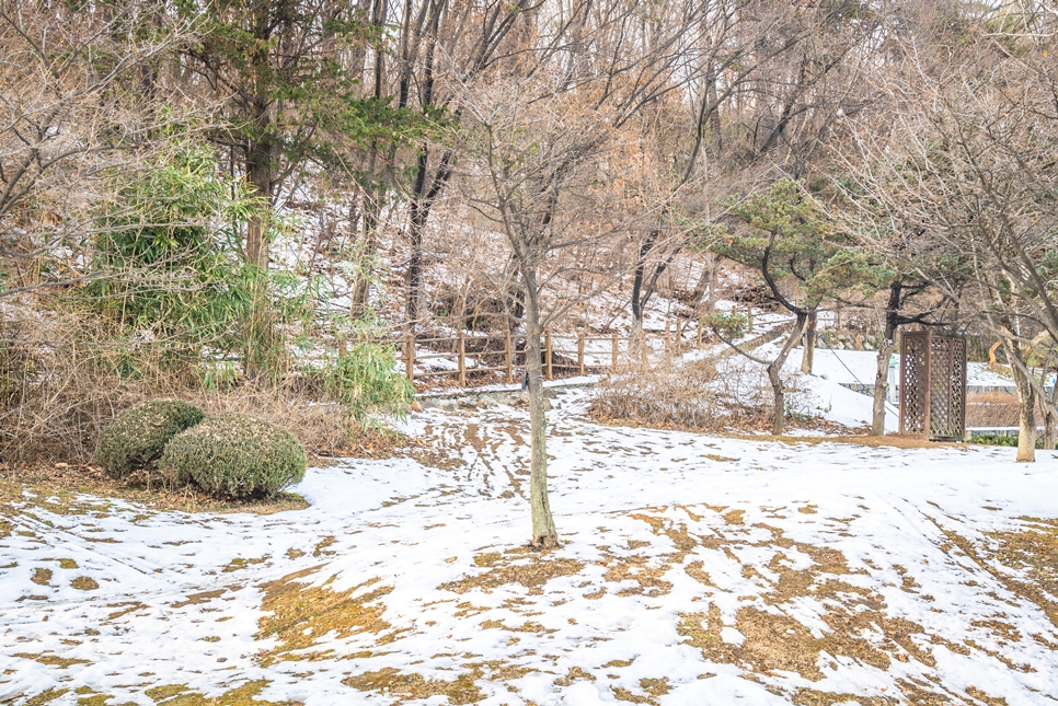 도림천, 보라매공원 눈 쌓인 풍경, 니콘 z5 촬영