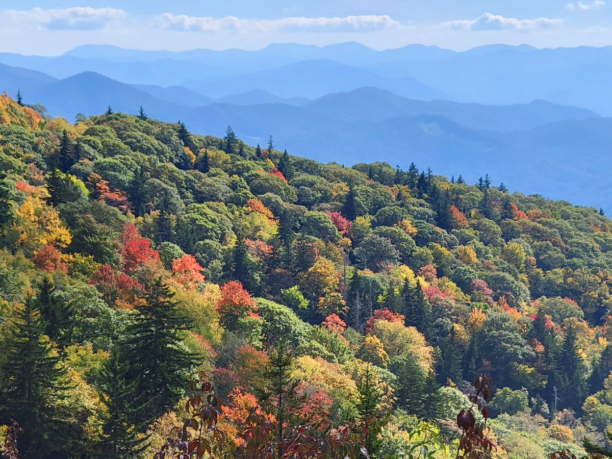 세계에서 가장 좁고 긴 공원인 미동부 애팔래치아 산맥군의 블루리지파크웨이(Blue Ridge Parkway)