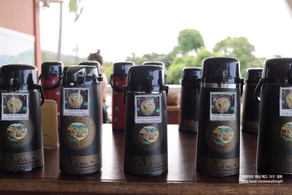 하와이 여행 명소 빅아일랜드 코나 커피 농장 투어
