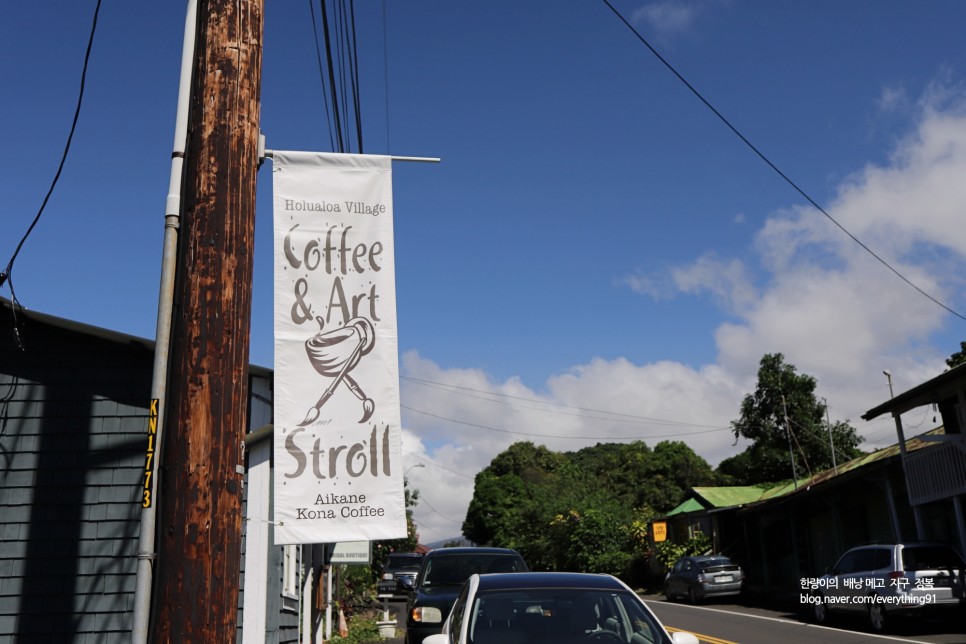 하와이 여행 명소 빅아일랜드 코나 커피 농장 투어
