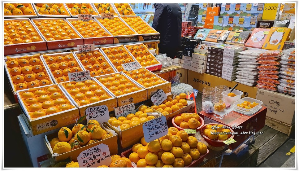 제주도 밤에 가볼만한곳 서귀포 올레시장 볼거리,먹거리