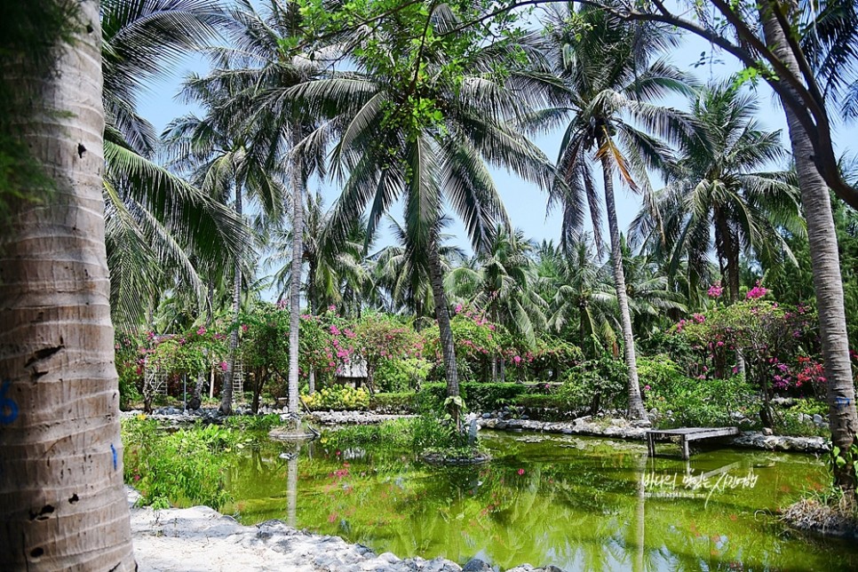 베트남 나트랑 자유여행 시내 3대 볼거리와 원숭이섬