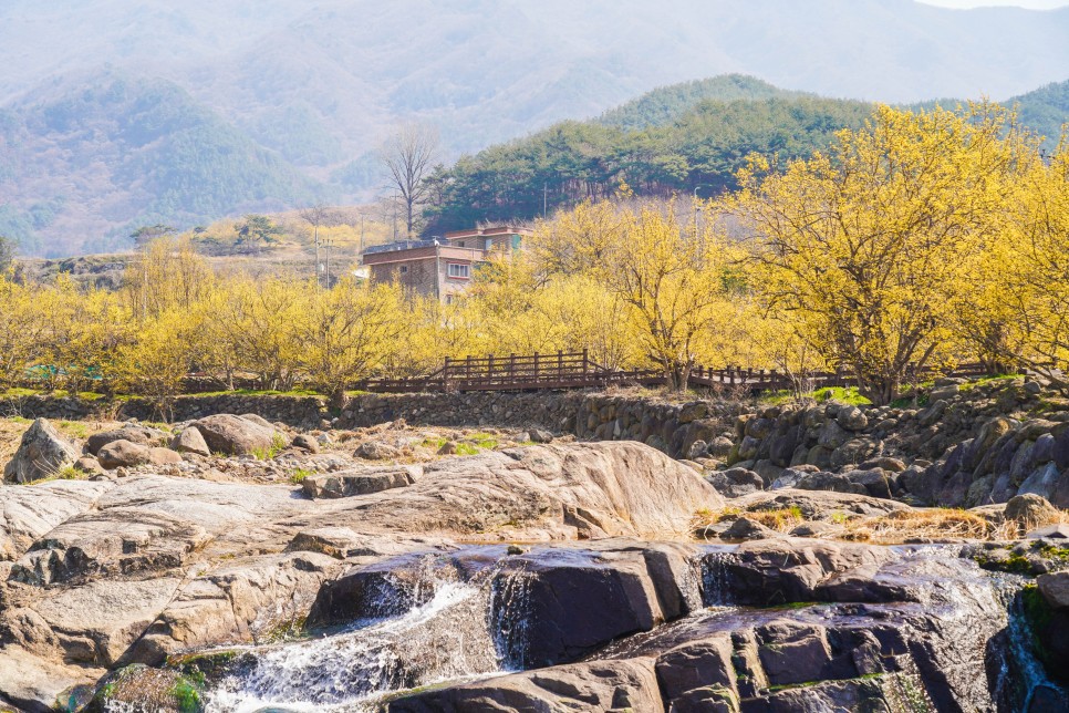 구례 산수유마을, 섬진강 하동 십리 벚꽃길, 광양매화마을 매화축제, 봄 꽃축제는 취소