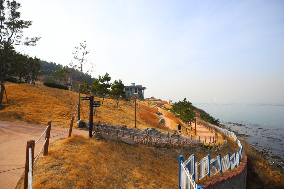 경북 포항 가볼만한곳 호미곶 구룡포 일본인가옥거리 외 베스트
