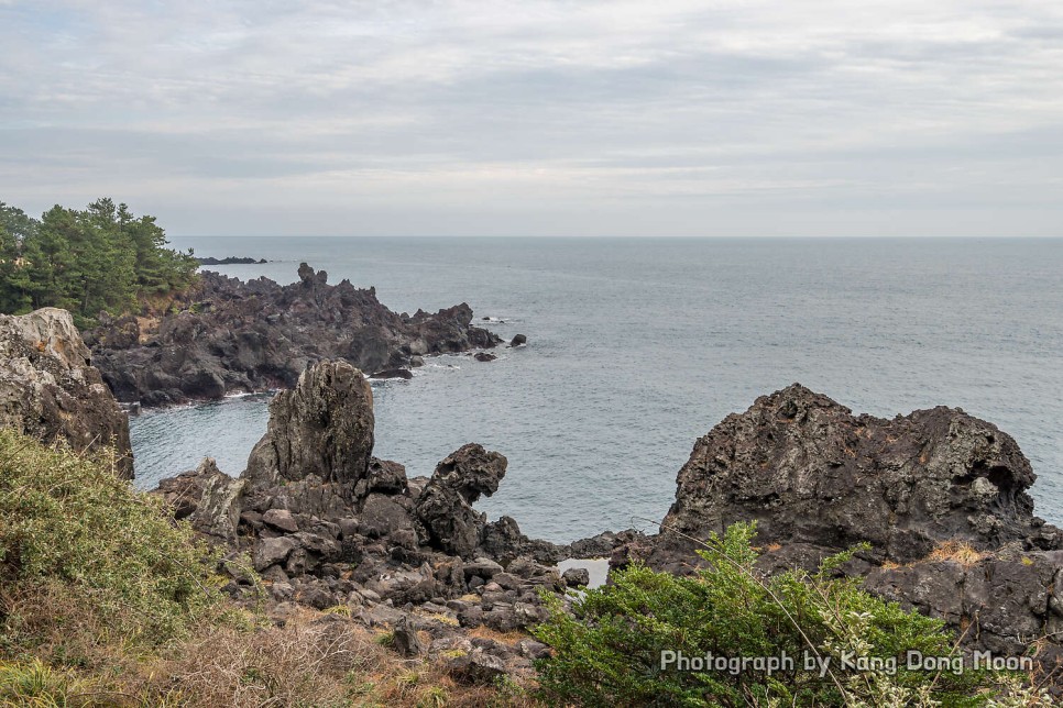 제주도 중문 가볼만한곳 남쪽코스 서귀포 바다 중문관광단지 볼거리 제주 대포 주상절리