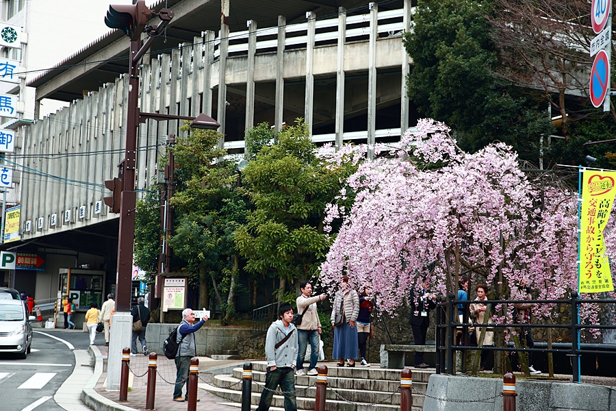 일본여행 코로나 전 어느 봄 벚꽃여행 추억