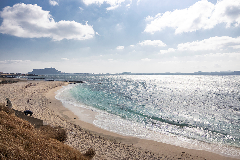 제주도 우도 배시간 배타는곳 가는법 성산항 우도 차량승선