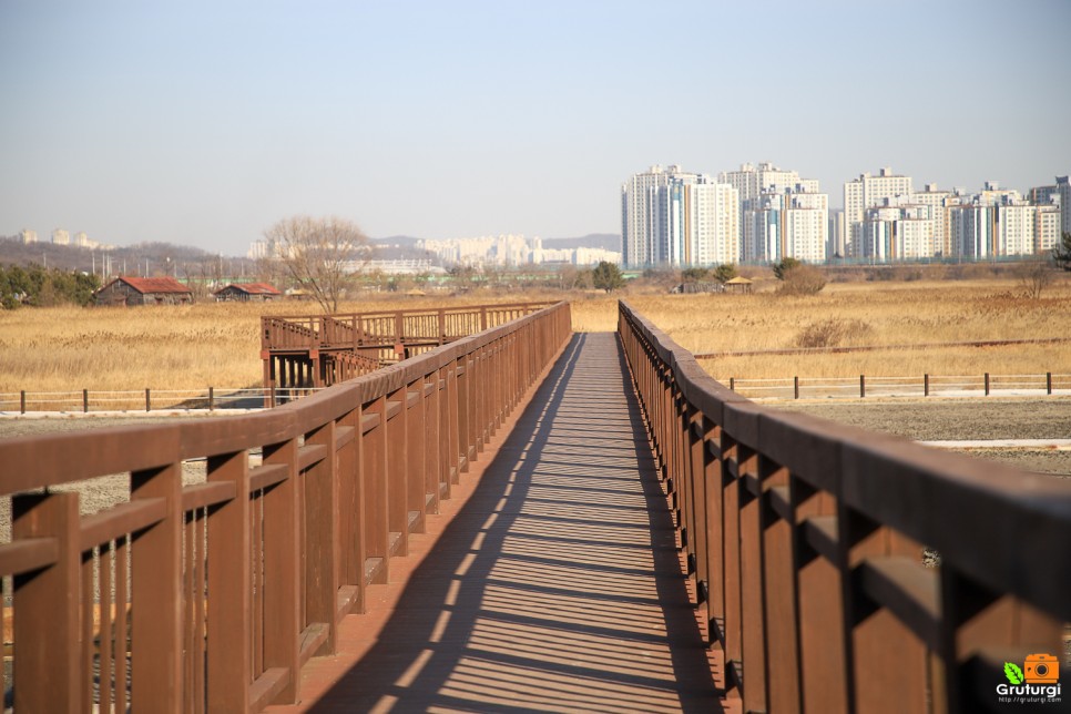 서울근교 여행 인천 볼거리 소래습지생태공원 산책로 주말나들이