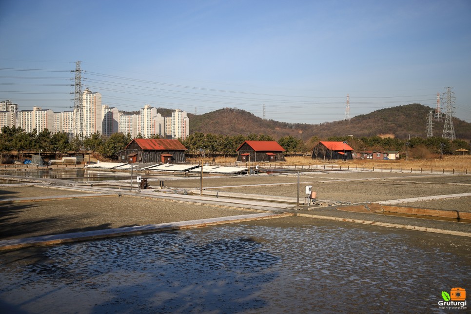 서울근교 여행 인천 볼거리 소래습지생태공원 산책로 주말나들이