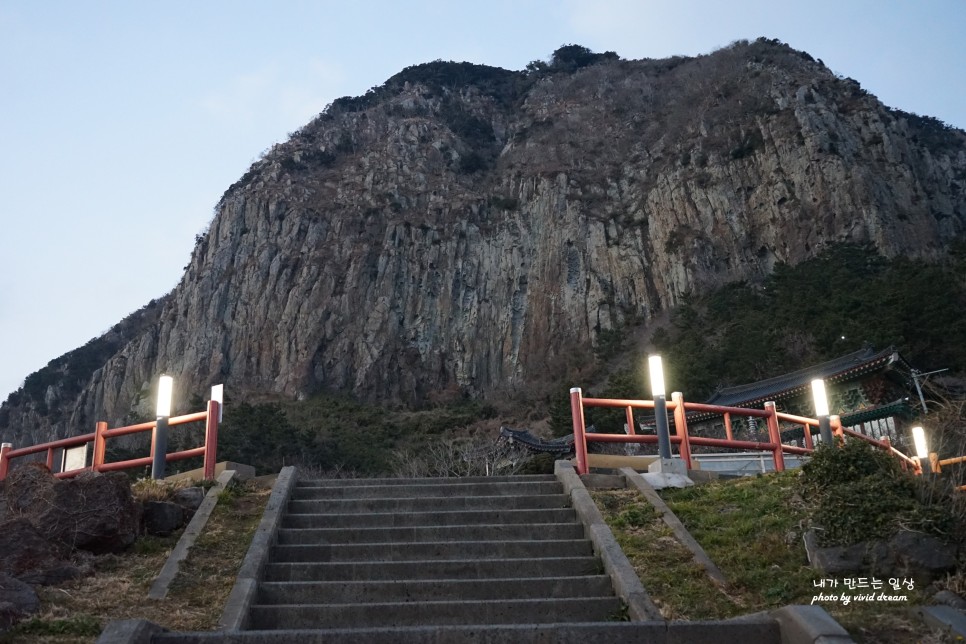 제주 유채꽃 명소 산방산 용머리해안