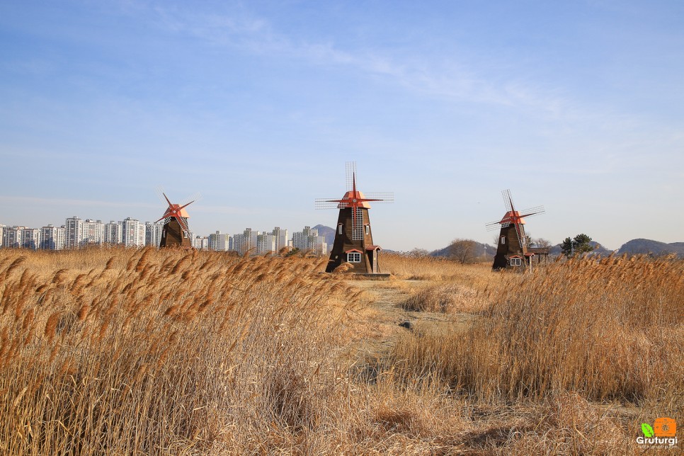 서울근교 여행 인천 볼거리 소래습지생태공원 산책로 주말나들이