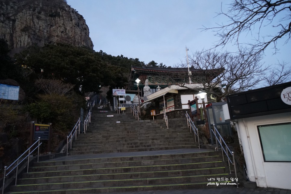 제주 유채꽃 명소 산방산 용머리해안