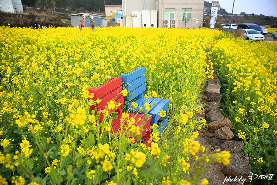 제주 서귀포 가볼만한곳 제주도 법환포구 포함 6곳